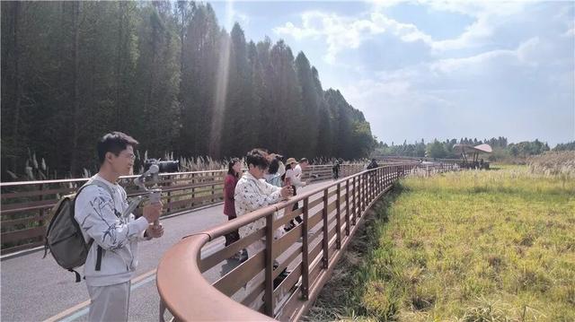 让“滇风”吹遍全网！百万粉丝大V聚春城，city walk沉浸式打卡昆明~