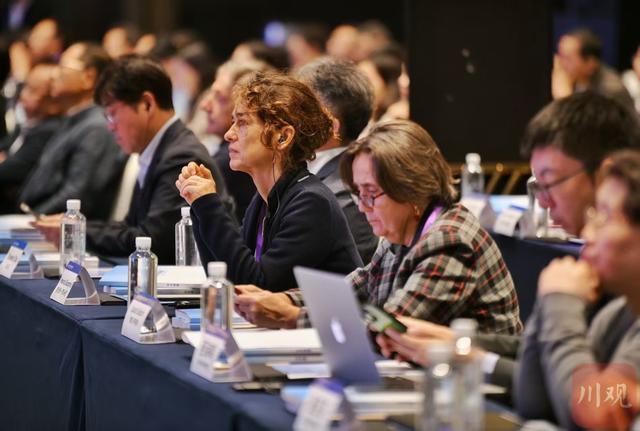 2025中华文化天府论坛举行，海内外专家学者共议文化遗产保护