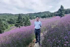 亦文亦商的诗意人生~图片