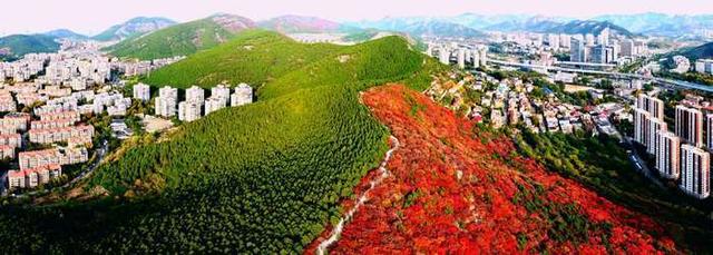 红绿交错平分秋色 济南蝎子山“鸳鸯火锅”景如画