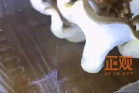 网友疑似过敏发现蘑菇在释放孢子：果然把蘑菇拿走后就不咳嗽了图片