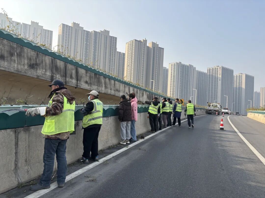 精心守护高架月季 静待春来迎花开(图2) 精心守护高架月季 静待春来迎花开(图2)