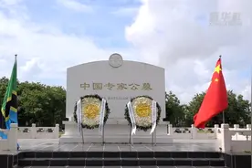 中国驻坦桑尼亚使馆举办清明节祭扫活动图片