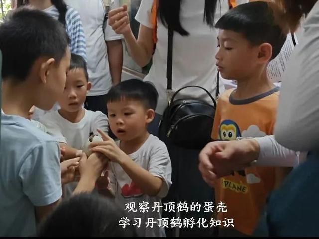 暑假遛娃新姿势！星湖暑期亲子研学盛宴：仙鹤、萌宠、虫趣全解锁～