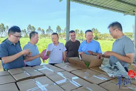 广东食品药品职业学院到揭阳惠来开展“双百行动”调研图片