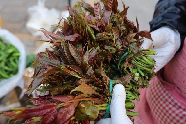 罗平“春味”正鲜，错过再等一年