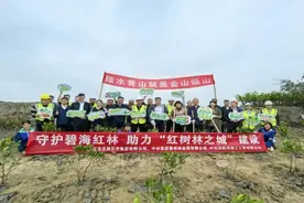 中交四航局三公司开展植树节主题活动推动“生态湛江”建设图片
