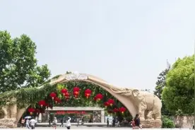 上海新增2家国家级自然教育绿色营地！寒假带娃新去处～图片