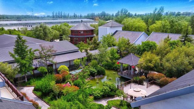 东毛西毛国庆宝藏玩法大公开，解锁田园奇妙日！