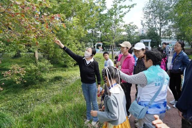 秋日限定“色卡”！来长宁“郊野公园”免费漫步赏景→