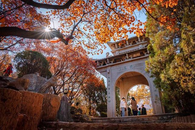 漫山红透！济南红叶谷把秋日色彩玩到了极致