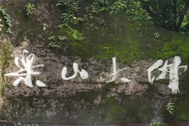 千年人文 诗画大佛 | 在山林中，与秋相逢