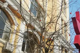 生活随笔//冬日随想录图片