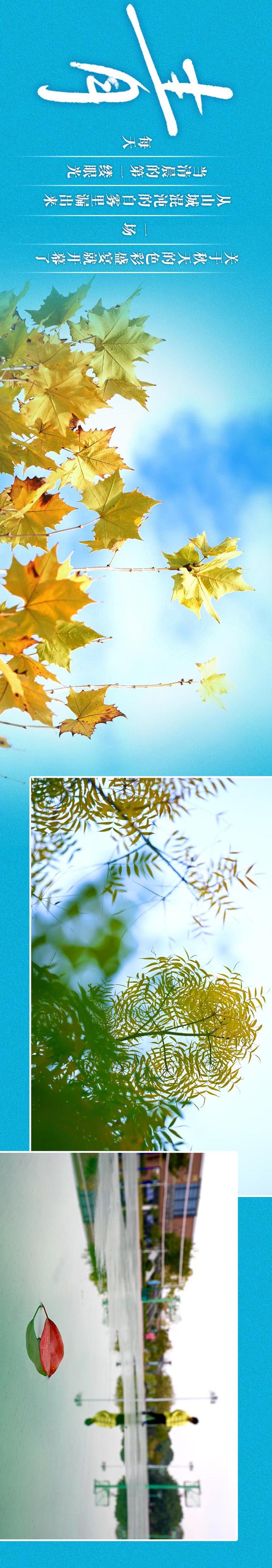 图说丨色彩 是山城写给深秋的情诗