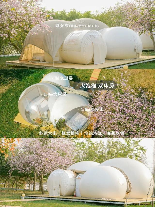 是时候回村了！来南宁共享田园慢生活，共赏万亩灯海
