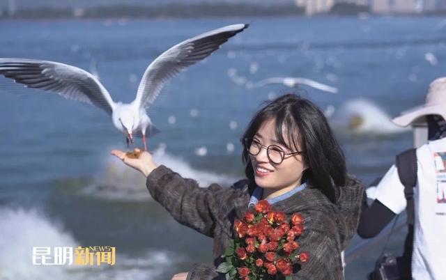 海埂大坝：延续“春节热度” 错峰观鸥正当时