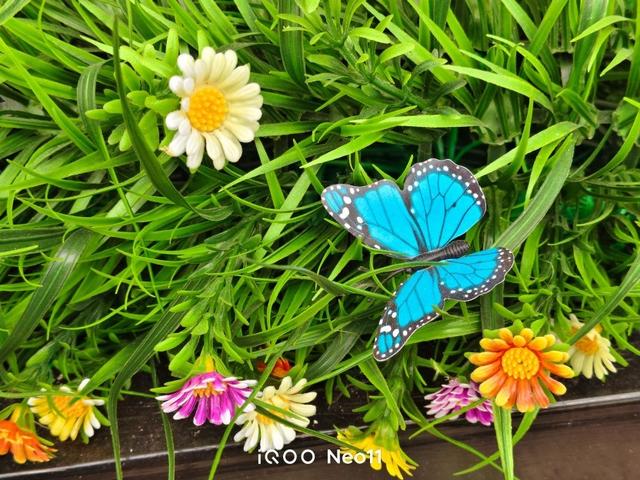 从屏幕到性能，iQOO Neo11如何打造全方位流畅体验？