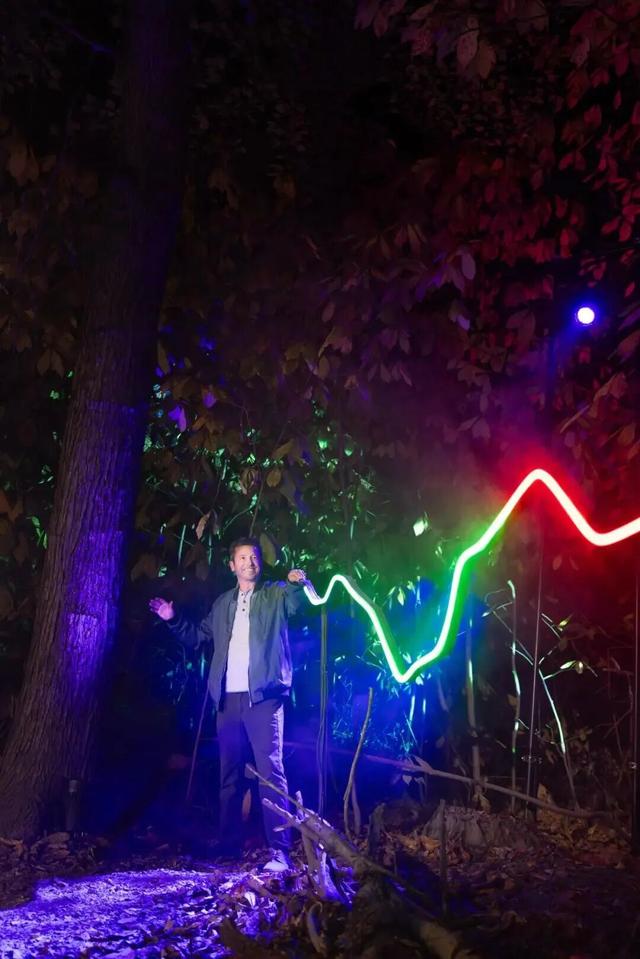 直降70元！龙华这片魔法森林焕新升级