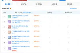 上汽及顺为资本旗下基金入股新芯航途 后者成立不足1个月图片