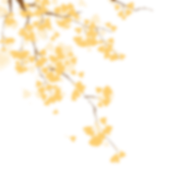 淘宝、赏花、观鱼，周末共康古玩街约起？