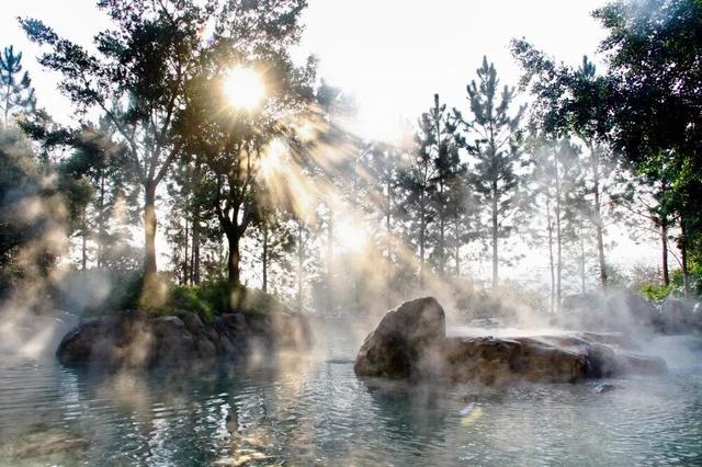 别宅家！赴一场20℃的暖冬旅居之约