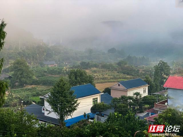 岁暖时刻丨雾锁湘西晨色里，一方秘境藏烟火