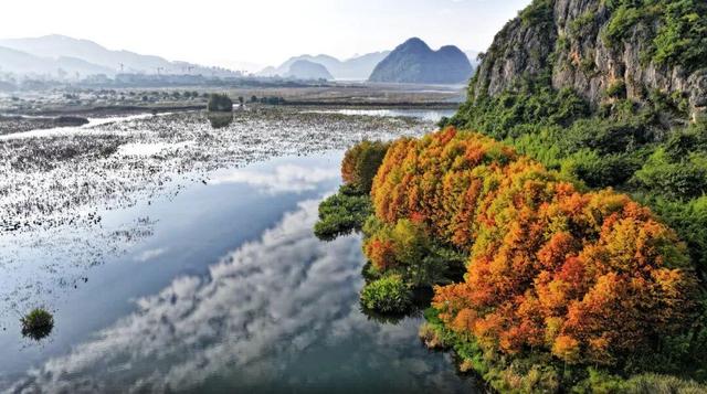 云游美丽中国 · 普者黑特辑