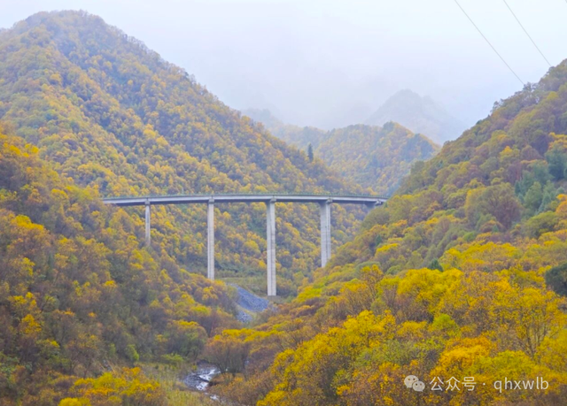 “环北龙山旅游风景道”荣获全国美丽公路称号