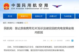 注意！民航局新规：6月28日起，这类物品禁止带上国内航班！图片