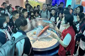 文化中国行|玉溪市博物馆举办“国际博物馆日”系列活动图片