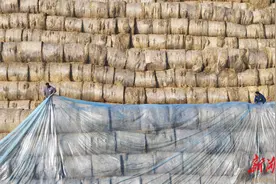 禁烧常态 疏堵结合——省生态环境厅答秸秆禁限烧有关政策问题图片