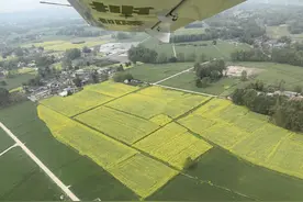 300元自驾开飞机赏花！成都低空赏花全国居首，亲子体验超6成图片
