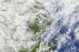 “齁湿”体感上线，上海提前入梅了吗？今夜到明天局部中到大雨，周六最高气温可达33℃图片
