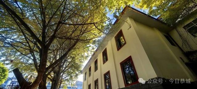 拥有一把会“悬浮”的“银杏伞”，刷爆你的朋友圈