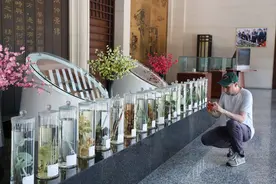 仲景之光 “新”耀世界丨仲景宛西制药用新质生产力“熬”出中药新未来图片