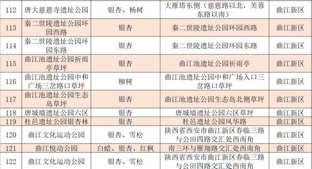 落叶缓扫，在曲江邂逅一场初冬浪漫！