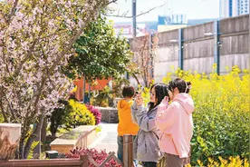 巧用城区“边角料”打造居民“后花园”（侨乡新貌）图片