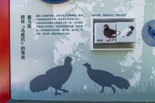 波密零碳自然驿站矩阵落成