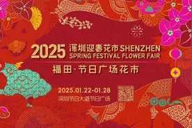百万礼包放送！春晚吉祥物“巳升升”将亮相福田花市图片