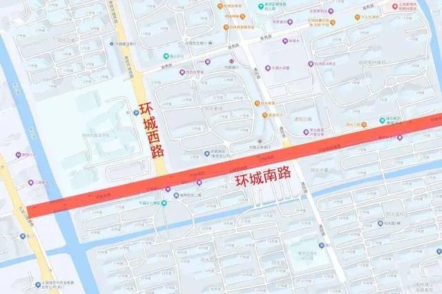 史铁生笔下的栾树，在南桥原来是这样的→