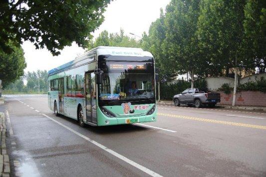 潍坊象“祥祥”全城巡游！1600辆公交车变身流动文化风景线