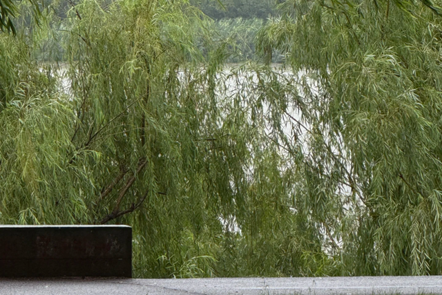 史上最长，9天假期，这才叫洛阳过年！