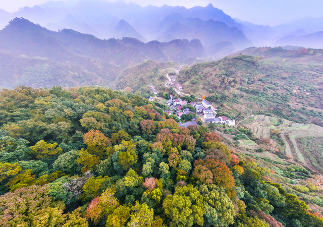 我在这里，等你→