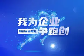 胡志莉参加随县代表团审议图片