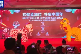 共迎新春 我驻多国使领馆举办春节庆祝活动图片