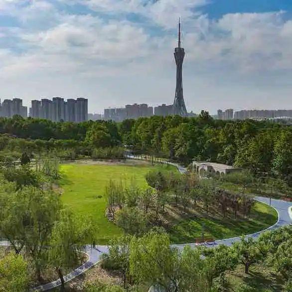 打卡遛娃健身新地标！郑州九大体育公园惠民开放→