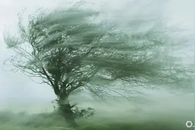 中央气象台发布大风预警：北京等地有7-8级阵风图片