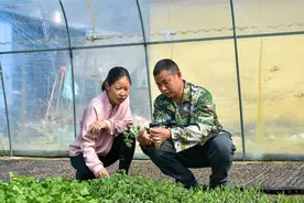 80后夫妻扎根农村十年艰苦创业，致富不忘家乡人图片