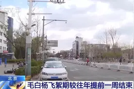 受大风天气影响 北京毛白杨飞絮期较往年提前一周结束图片