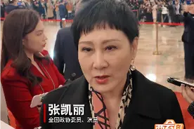 两会有新“议”丨“闹海”更要“出海” 优秀传统文化IP如何破局全球化？图片